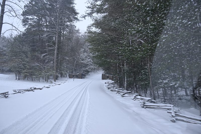 DSC_0226.JPG